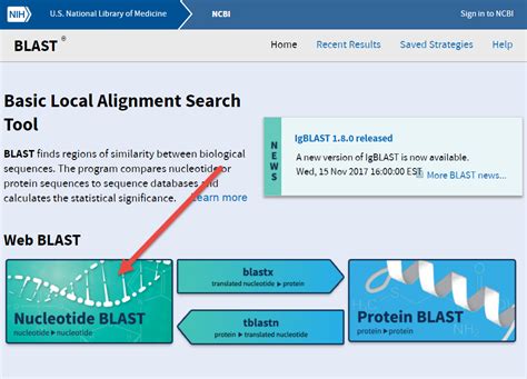 ncbi nucleotide blast|Needleman.